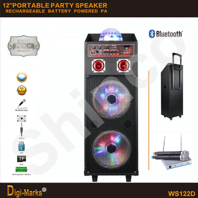 Dual 12-Inches PA Outdoor Wireless Power Battery Mobile Bluetooth Speaker